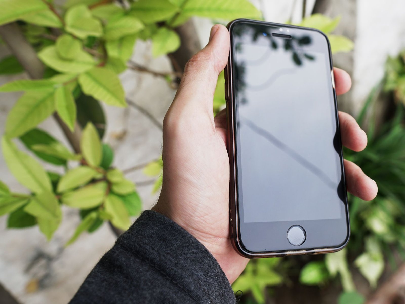 Seseorang memegang iPhone dengan layar kosong di luar ruangan, berlatar dedaunan hijau.